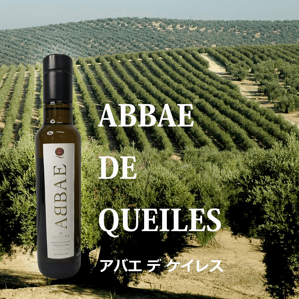スペイン・ナヴァラの至宝/老舗のオイル /アバエ・ デ・ ケイレス/ABBAE DE QUEILES(2本組)250ml×2