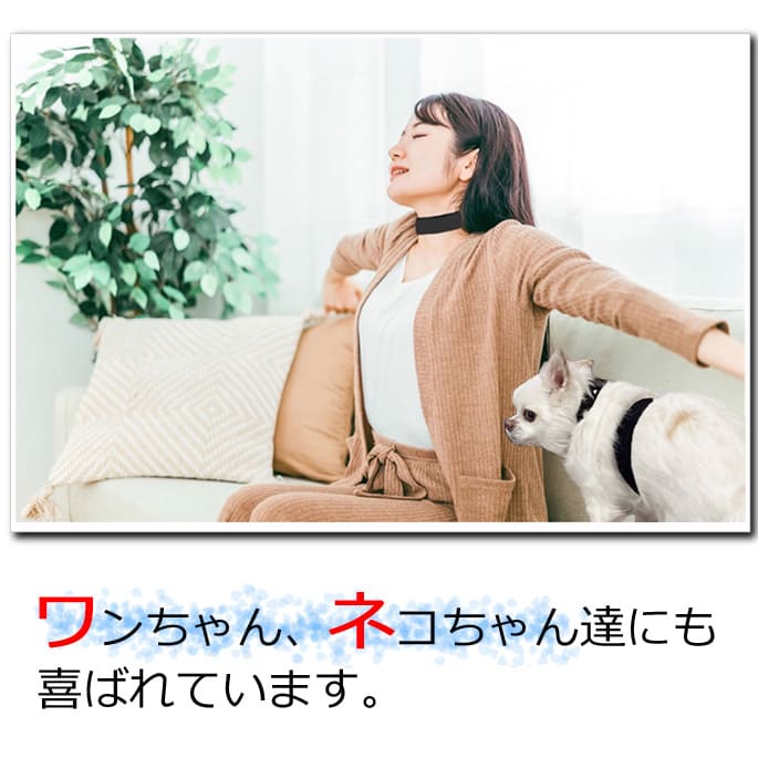 ボディ バランス プロ ヘンゲ